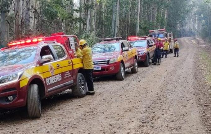 Bombeiros combatem incêndio em mata por cerca de 19 horas