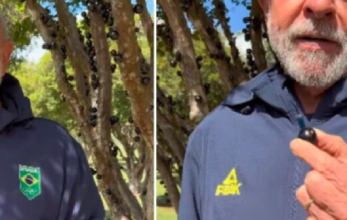 Lula oferece jabuticaba a Trump em meio à briga por tarifaço