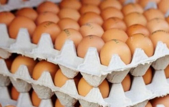 Preço do ovo sobe quase 20% em março e afeta o bolso de universitários que moram sozinhos