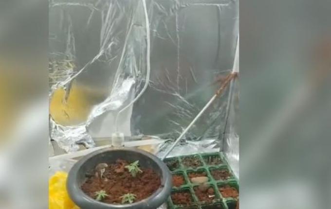 Jovem de 17 anos é apreendido por tráfico de drogas em Maravilha