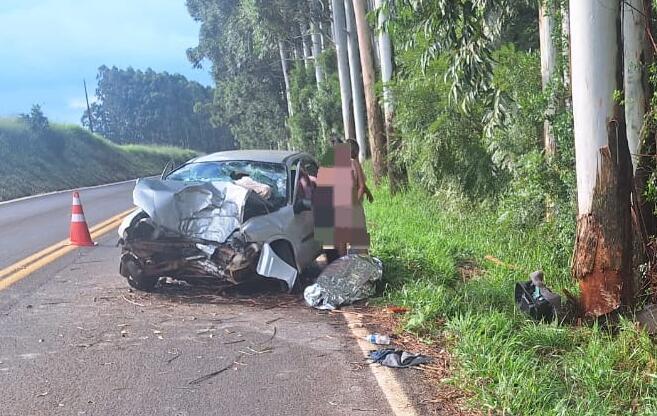 Jovem morre após carro sair da pista e bater em árvore na SC-161, em Palma Sola
