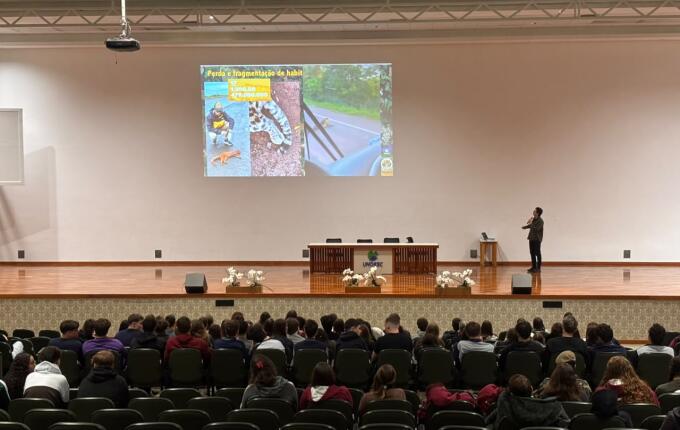 Foto da galeria