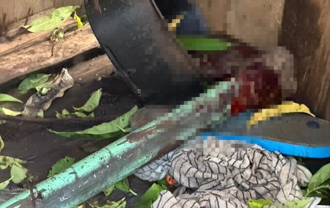 DIC vai investigar morte de cão após prisão em flagrante de mulher em SMO