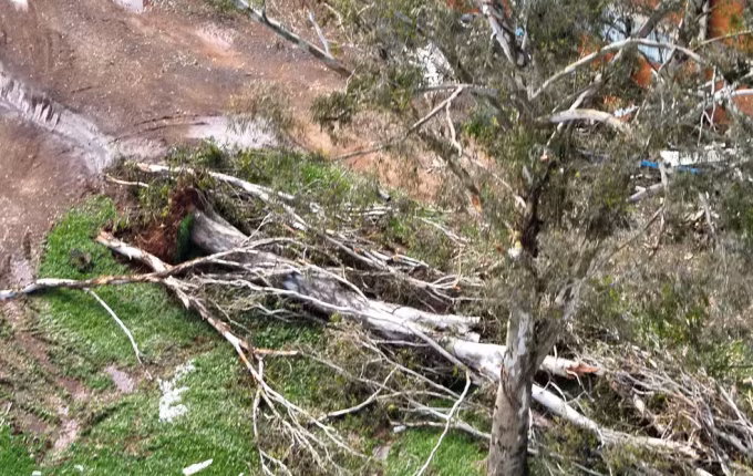 Defesa Civil confirma tornado em Campo Erê