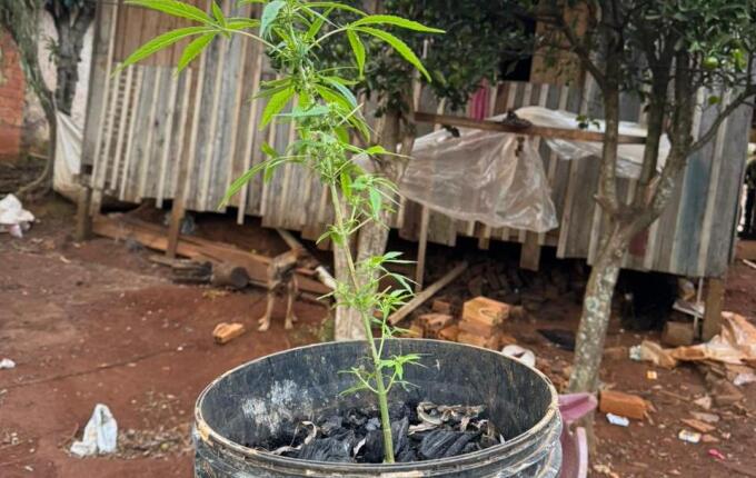 Polícia Civil cumpre mandado em investigação por ameaça com arma de fogo em Campo Erê