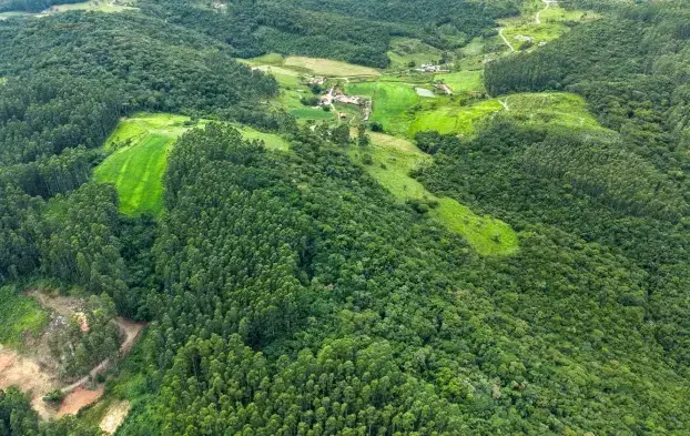 SC divulga abertura de inscrição no programa Mais Verde