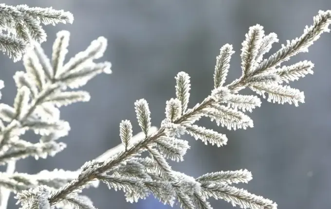 Frente fria derruba temperaturas e aumenta chance de geada em SC
