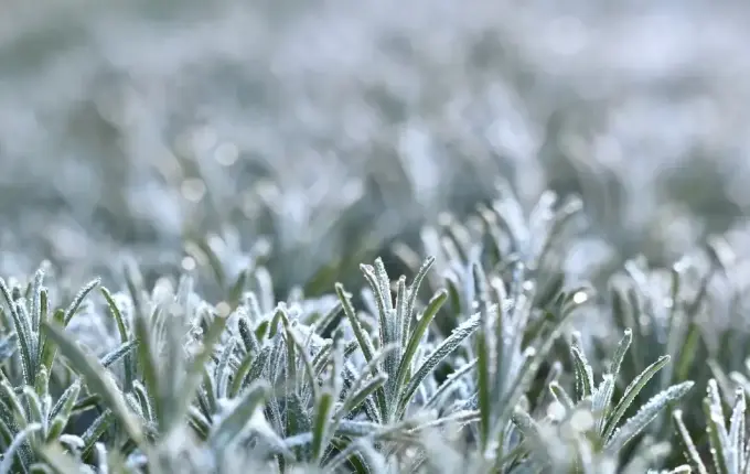 Frente fria e massa de ar polar derrubam temperaturas em SC no fim de semana