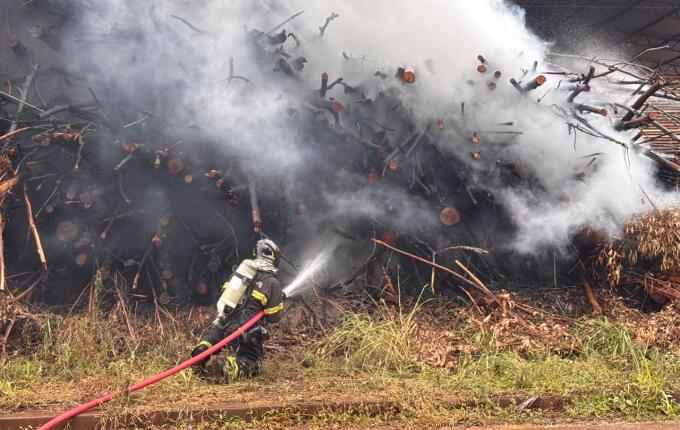 Incêndio atinge pilha de eucaliptos em madeireira de São Miguel do Oeste