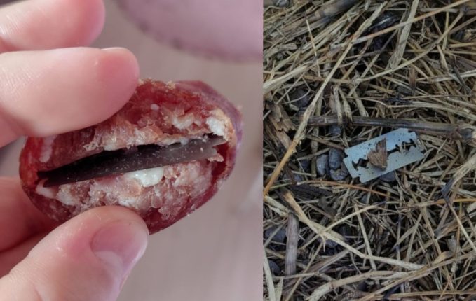 Lâminas são escondidas em salame e colocam animais em risco em Concórdia