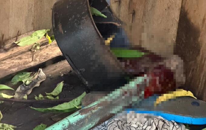 Mulher é presa após cachorro ser morto a machadadas em São Miguel do Oeste