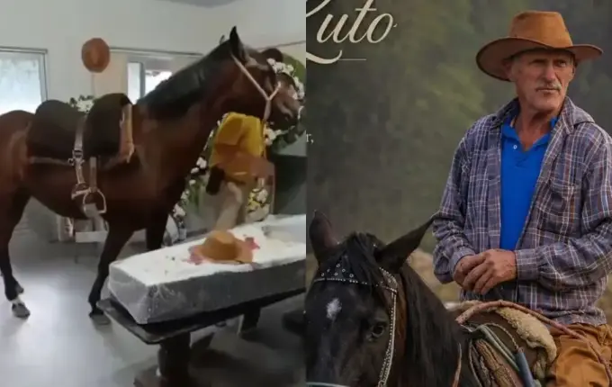 Cavalo “chora” em velório do dono e emociona família em Blumenau