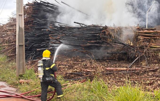 Incêndio atinge pilha de eucaliptos em madeireira de São Miguel do Oeste