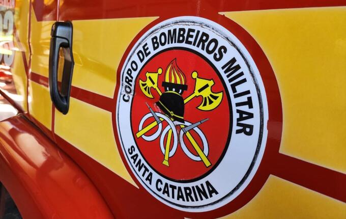 Homem morre em ataque de abelhas no interior de Itapiranga