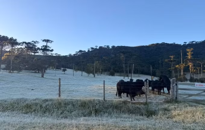 SC registra -3,07°C e amanhece com temperaturas negativas em pelo menos 13 cidades