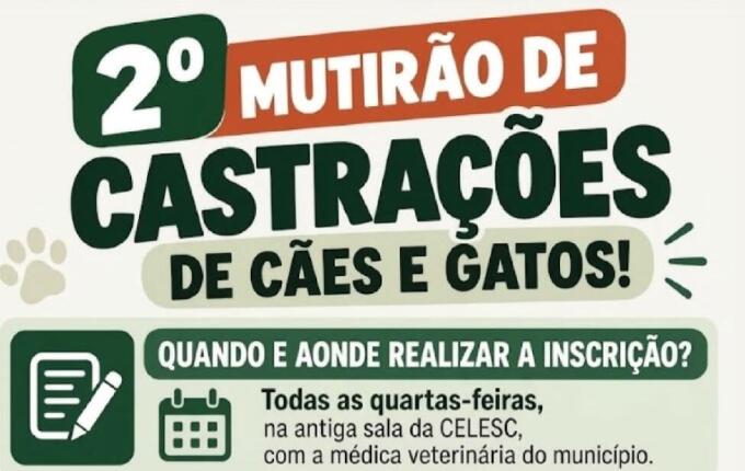 Paraíso prevê castração gratuita de mais de 120 cães e gatos em novembro