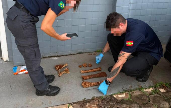 Polícia descarta que ossos encontrados em Pinhalzinho sejam humanos