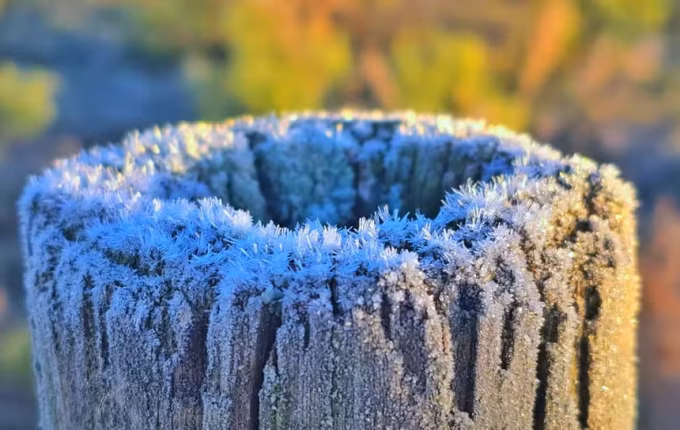 Frio volta com força e SC registra amanhecer de -4,2°C