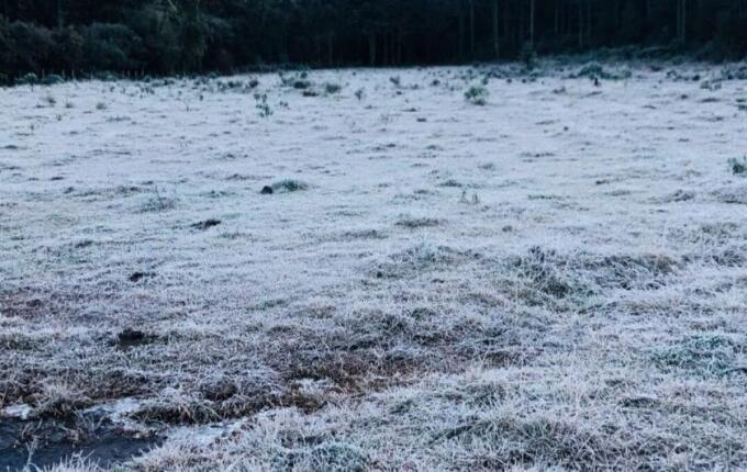Bom Jardim da Serra registra -5,7°C e SC tem 19 cidades abaixo de zero