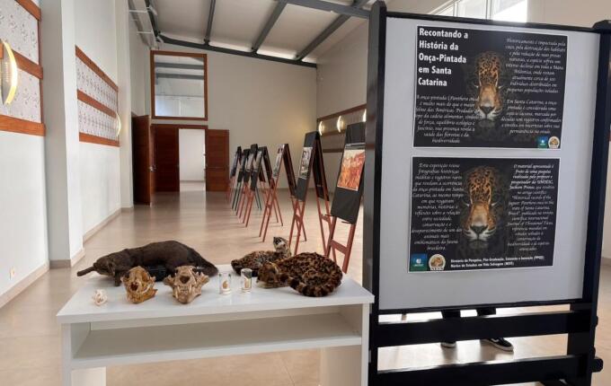 UNOESC promove exposição e palestra sobre felinos da fronteira durante o Dia do Meio Ambiente