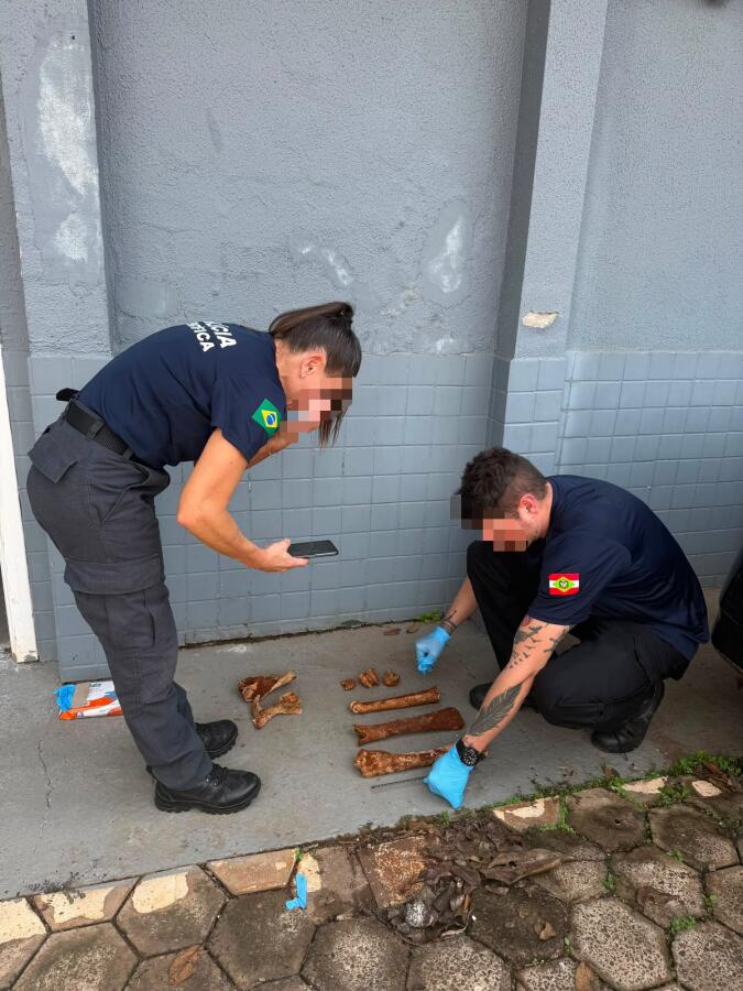 Polícia descarta que ossos encontrados em Pinhalzinho sejam humanos