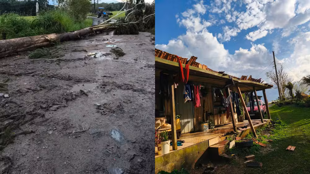 Defesa Civil investiga possível tornado em Itaiópolis