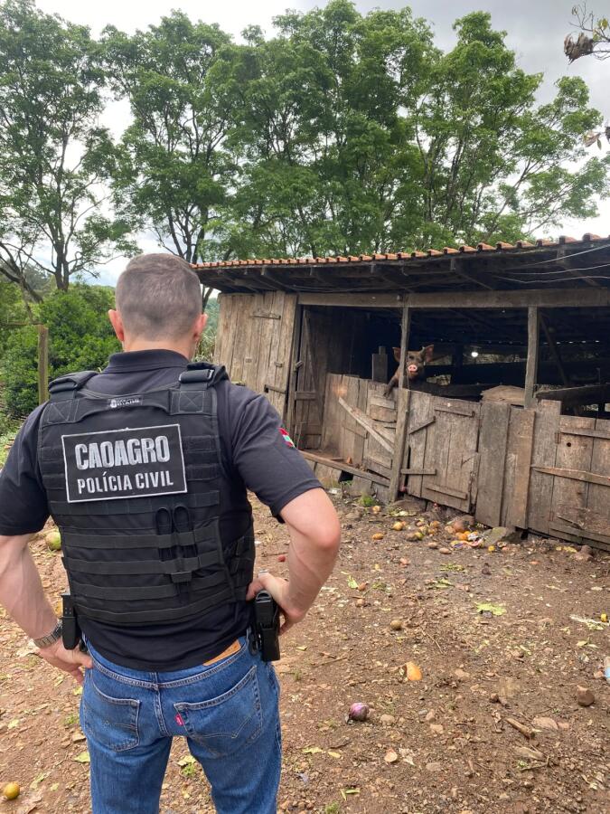 Polícia Civil e Cidasc fiscalizam propriedade rural e apuram maus-tratos a animais em Xanxerê