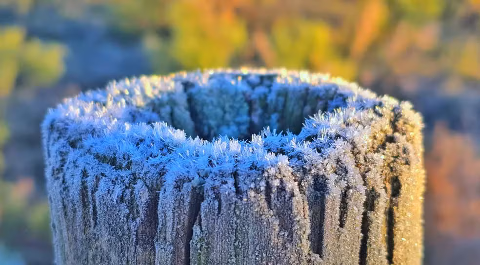 Frio volta com força e SC registra amanhecer de -4,2°C