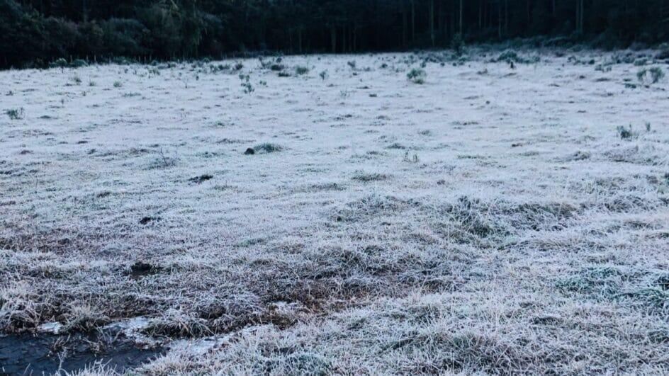 Bom Jardim da Serra registra -5,7°C e SC tem 19 cidades abaixo de zero