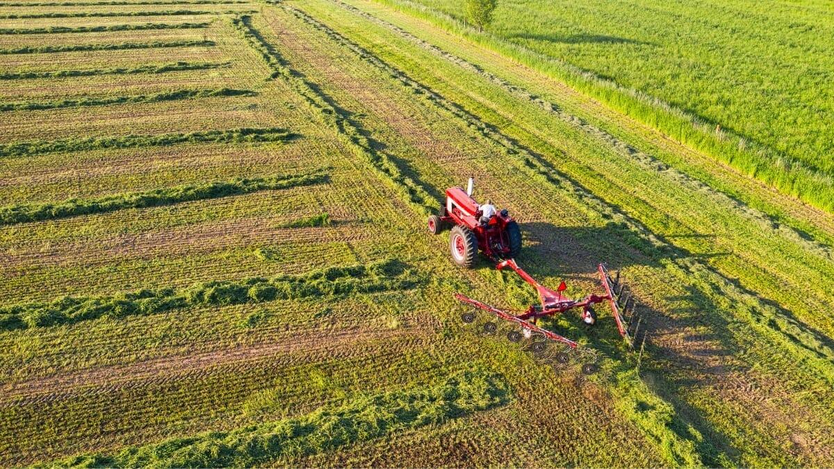 Receita Federal adia exigência de CNPJ para produtor rural para 2027