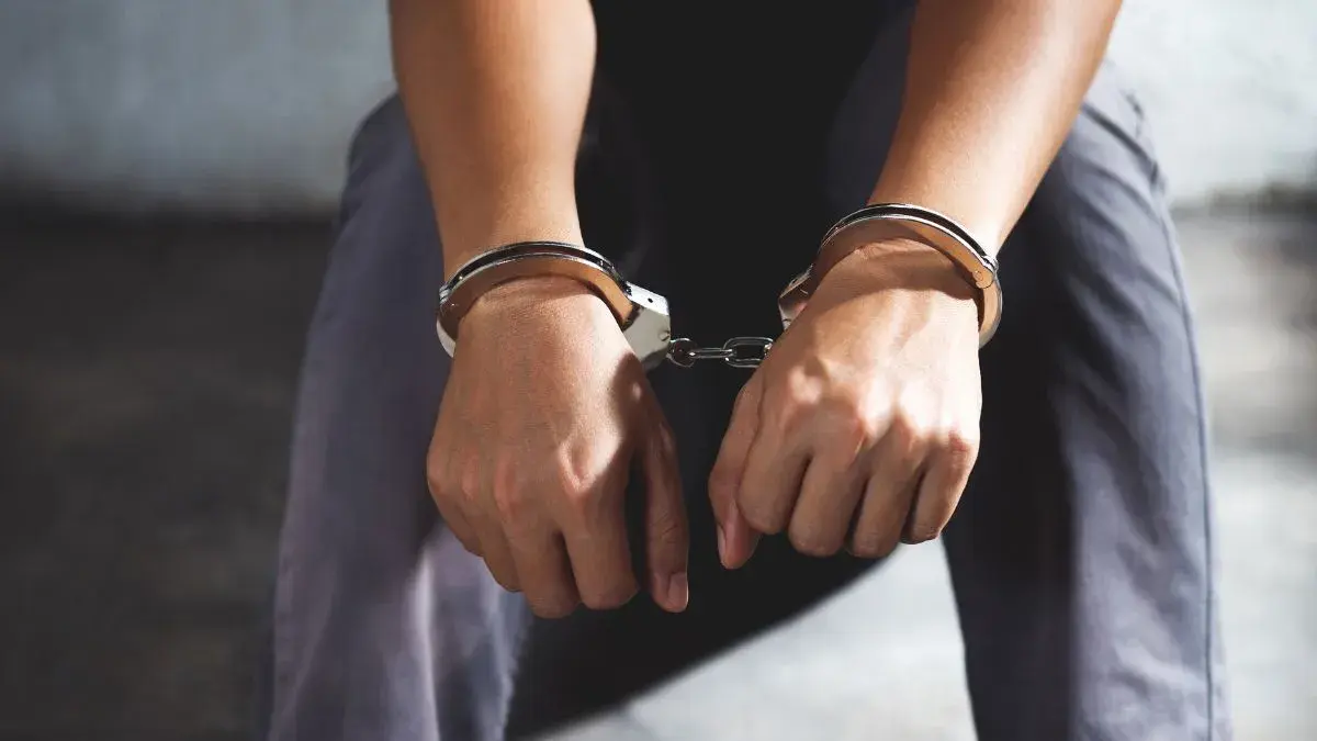Advogado surpreende juíza em SC e pede condenação do próprio cliente